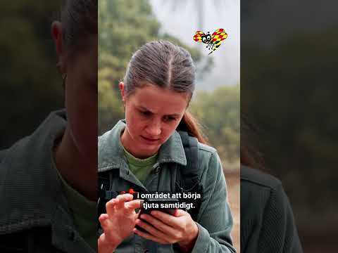 Då kommer din mobil börja larma om kris thumbnail