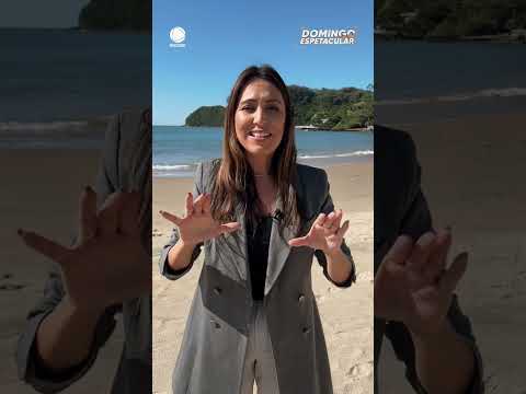 Surfista é atingido por peixe-agulha e passa por uma cirurgia no coração | #DomingoEspetacular thumbnail
