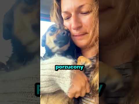 Ta dziewczyna dała mu kolejne życie! 😭 thumbnail