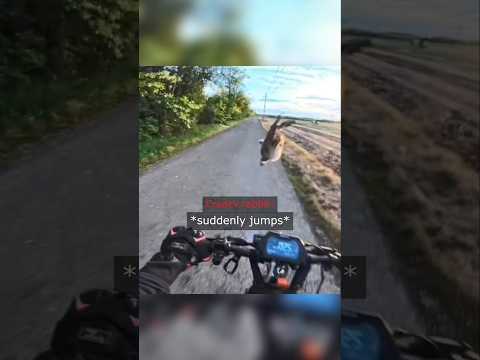 Peaceful Ride Turned Into Fever Dream... thumbnail