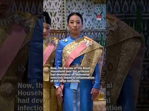 Thai Princess Bajrakitiyabha Mahidol’s condition worsens: Palace thumbnail