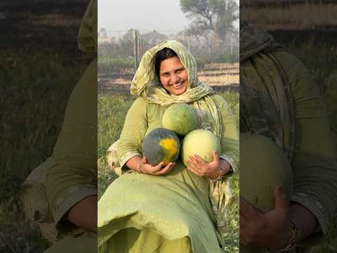 Direct khet se fresh watermelon #dailyvlogs #familyvlog #minivlog #watermelon #summer #shortvideo thumbnail