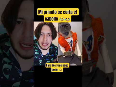 Mi primito se corta el cabello ?? - Hey Crispin #humor thumbnail