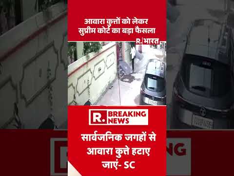 आवारा कुत्तों को लेकर Supreme Court का बड़ा फैसला | Shorts | Supreme Court Verdict on Stray Dogs thumbnail