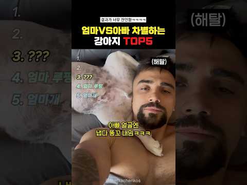 엄마vs아빠 차별하는 강아지Top5#랭킹쇼츠 thumbnail