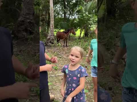 #oldmacdonald #kidssong ? thumbnail