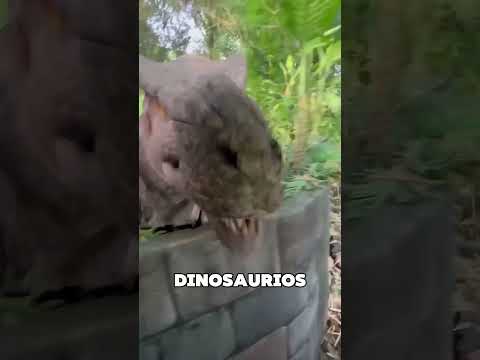 Jurassic Park En La Vida Real 😱 thumbnail