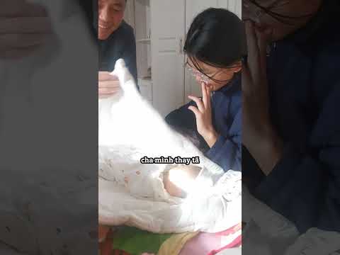 Khoảnh khắc ngọt ngào bỗng chốc trở nên hài hước 😂 thumbnail