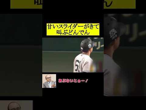 甘いスライダーに興奮するどんでん #阪神タイガース #岡田彰布  #プロ野球 #野球 thumbnail