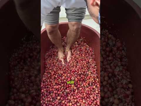 Why Some Winemakers Still Use Their Feet thumbnail