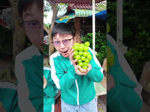 "Đây Là Táo Táo Táo" | Sheep #shorts thumbnail