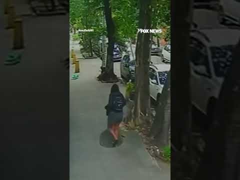 Woman PLUNGES into manhole after cover collapses #foxnews #news #us #fox thumbnail