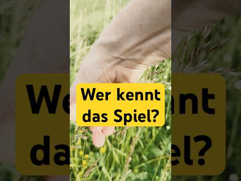 Wir spielen den Klassiker #bordercollie #hund #dogshorts #cutedog  #disability #tierliebe #spiele thumbnail