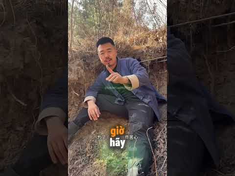 Ông Chủ Giả Vờ Mất Tích Trong Hang Sâu Và Cái Kết Cảm Động Của Đàn Chó ☺️ thumbnail