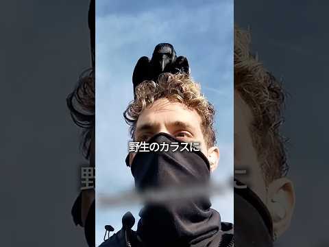 カラス軍団を使ってお金を集める? thumbnail