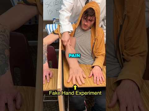This Experiment Tricks Your Brain 🤯 (@thetushouse) thumbnail