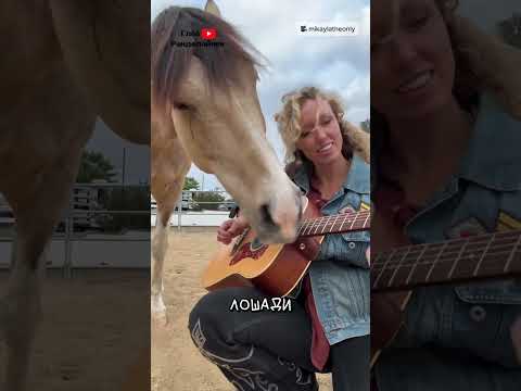 Лошадь Играет на Гитаре 🐴 thumbnail