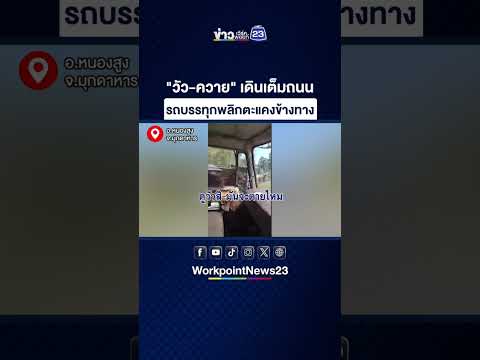 "วัว-ควาย" เดินเต็มถนน รถบรรทุกพลิกตะแคงข้างทาง thumbnail