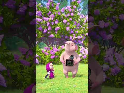 O Urso é o melhor fotógrafo! 🐻📸🌟 #shorts #mashaeourso #Piqueniquelilás #mashaandthebear #crianças thumbnail