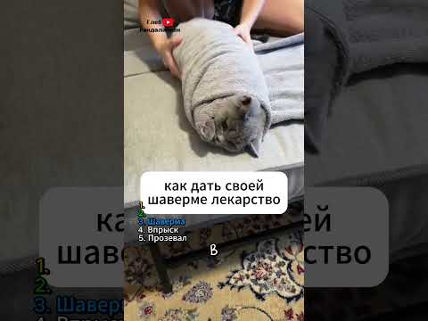 ТОП 5 способов дать кошке лекарство 💊 thumbnail