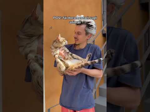 Alla fine non sono mai diventato grande thumbnail