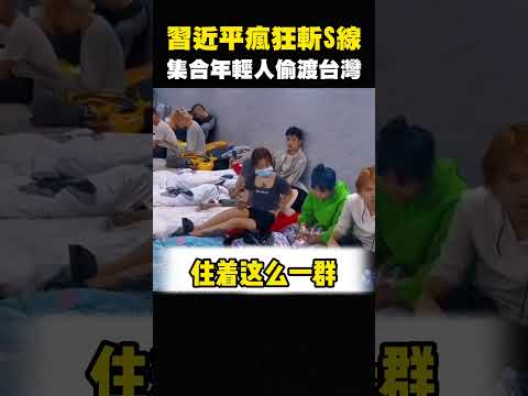廣東小粉紅崩潰，集體住橋洞乞討，哭求八炯幫忙，想去台灣生活 #shorts thumbnail