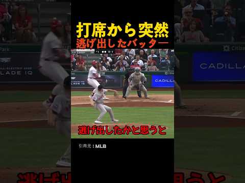打席から突然逃げ出したバッター thumbnail
