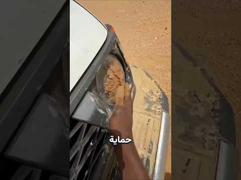 لماذا تُطمَس أضواء السيارات في الصحراء؟ thumbnail