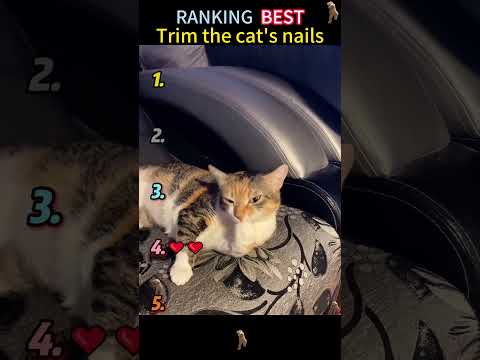 #pov #tools #foryoupage #fyp #fypシ゚viral #fypツ thumbnail