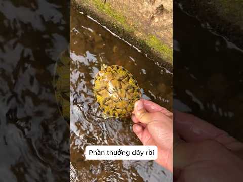 Tôi phát hiện những thứ kỳ lạ dưới sông thumbnail