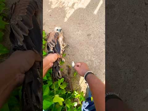 പച്ചക്ക് വഴക്ക് പറഞ്ഞു #keralafishing #shorts thumbnail