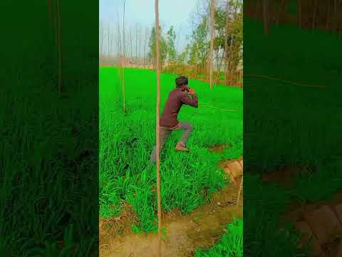 #comedy#short#video#viral#🤣 thumbnail