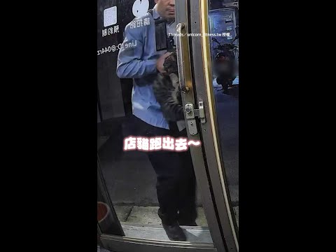 【費盡心思XD】店貓逃家被好心男抱回還用3招封門｜#寵物雲 #shorts thumbnail