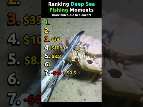 Ranking Deep Sea Fishing Moments Pt.10 | How much did bro earn? #deepseaexploration thumbnail