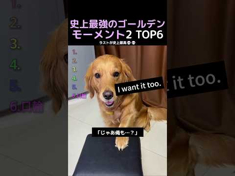 史上最強のゴールデンモーメント2 TOP6 thumbnail