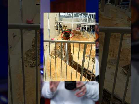 Flushed Binder Shut Down A School ? thumbnail