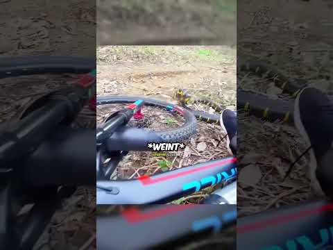 Ein Biker traf auf eine Kobra ? thumbnail