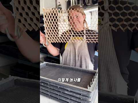 미국 농부들이 미친 속도로 심는 방법 thumbnail