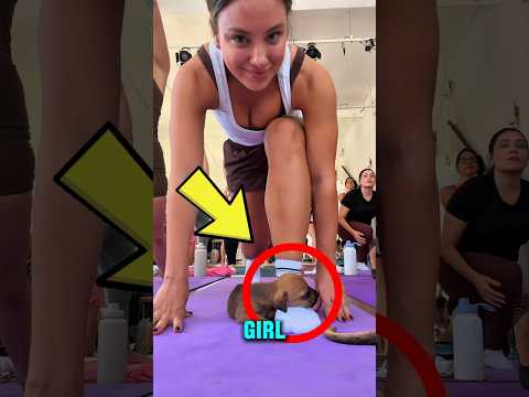 She Brought Her Puppy To Yoga Class 🐶🧘‍♀️ #shorts thumbnail