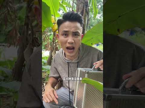 本以为计划天衣无缝，没想到最后还是棋差一着…#shorts #funny #搞笑 thumbnail