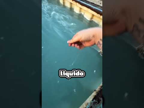 Mai tuffarti in quest’acqua… thumbnail