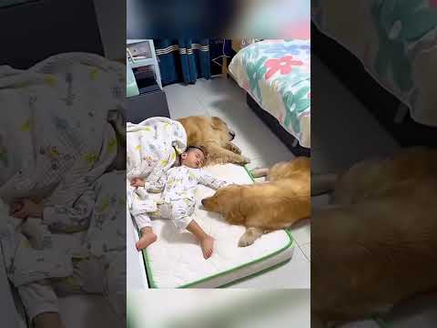 #love #baby thumbnail