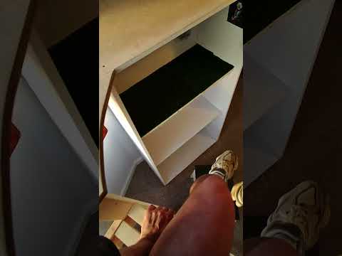 My Pet Seagulls New Platform!! thumbnail