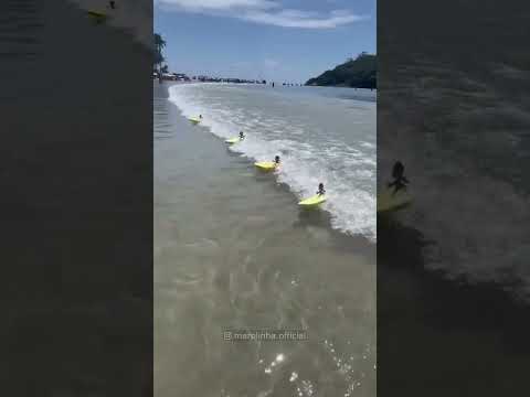 These are Best Toys Ever 🏄 thumbnail