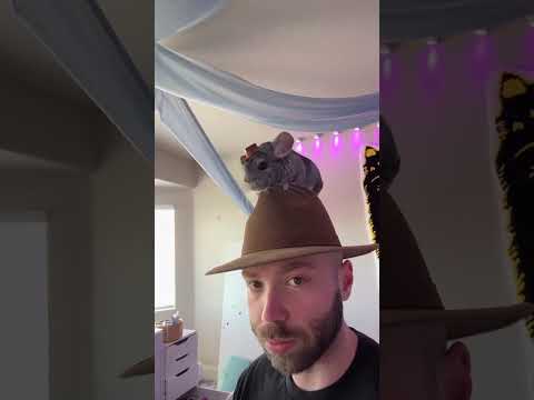 Cowboychilla thumbnail