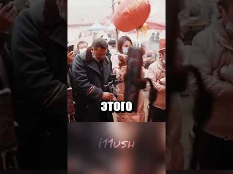 Слава - это не всегда хорошо thumbnail