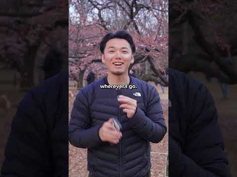 When is the best time to visit Japan?Use TAKASHII for a 15% off thumbnail
