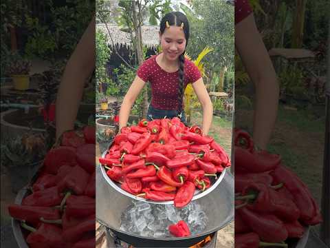 Red belle pepper 🌶️ recipe thumbnail