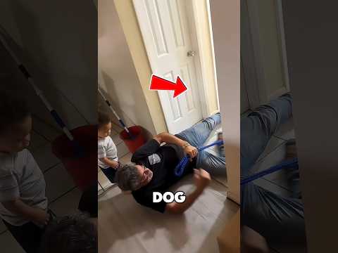 This Dog Terrified Everyone at Home‼️😱 thumbnail