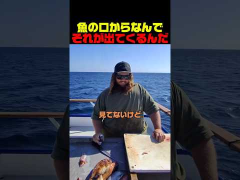 魚の口からなんでそれが出てくるんだ? thumbnail
